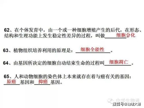 高中生物基础知识速览 从细胞到生态，一篇打尽复习要点
